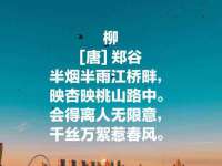 合肥市包河区东木临电子商务工作室