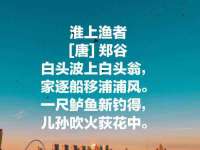 合肥市包河区东木临电子商务工作室