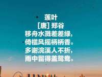 合肥市包河区东木临电子商务工作室