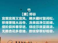 合肥市包河区东木临电子商务工作室