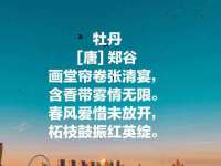 合肥市包河区东木临电子商务工作室