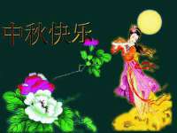 合肥市包河区东木临电子商务工作室
