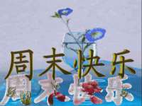 合肥市包河区东木临电子商务工作室