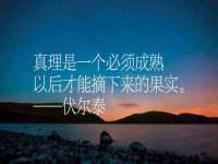 合肥市包河区东木临电子商务工作室