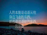 合肥市包河区东木临电子商务工作室