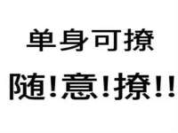 合肥市包河区东木临电子商务工作室