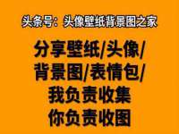 合肥市包河区东木临电子商务工作室