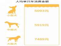 合肥市包河区东木临电子商务工作室