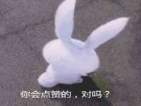 合肥市包河区东木临电子商务工作室