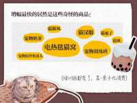 合肥市包河区东木临电子商务工作室