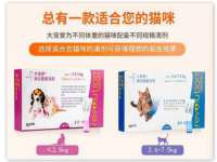 合肥市包河区东木临电子商务工作室