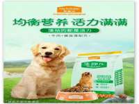 合肥市包河区东木临电子商务工作室