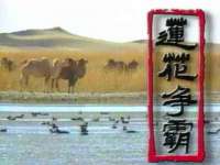 合肥市包河区东木临电子商务工作室