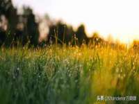合肥市包河区东木临电子商务工作室