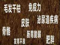 合肥市包河区东木临电子商务工作室