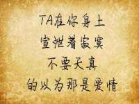 合肥市包河区东木临电子商务工作室