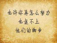 合肥市包河区东木临电子商务工作室