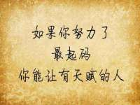 合肥市包河区东木临电子商务工作室