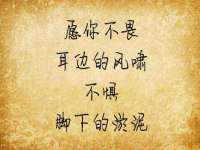 合肥市包河区东木临电子商务工作室