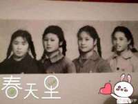 合肥市包河区东木临电子商务工作室