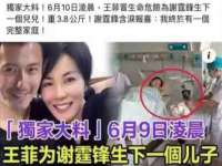 合肥市包河区东木临电子商务工作室