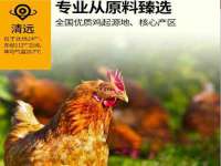 合肥市包河区东木临电子商务工作室