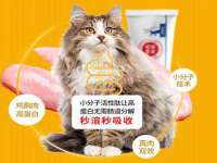 合肥市包河区东木临电子商务工作室