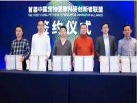 合肥市包河区东木临电子商务工作室