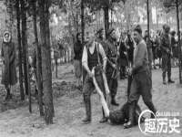 合肥市包河区东木临电子商务工作室