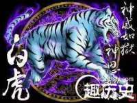 合肥市包河区东木临电子商务工作室