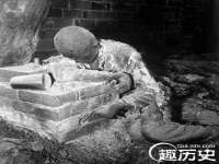 合肥市包河区东木临电子商务工作室