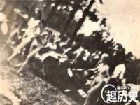 合肥市包河区东木临电子商务工作室