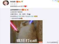 合肥市包河区东木临电子商务工作室