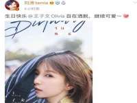 合肥市包河区东木临电子商务工作室