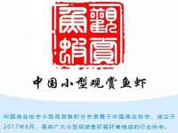 合肥市包河区东木临电子商务工作室