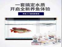 合肥市包河区东木临电子商务工作室