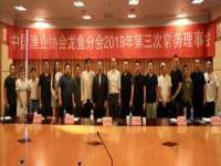 合肥市包河区东木临电子商务工作室