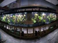 合肥市包河区东木临电子商务工作室