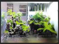 合肥市包河区东木临电子商务工作室