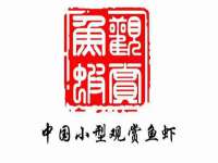 合肥市包河区东木临电子商务工作室