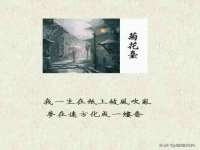 合肥市包河区东木临电子商务工作室