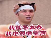合肥市包河区东木临电子商务工作室