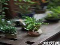 合肥市包河区东木临电子商务工作室