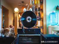 合肥市包河区东木临电子商务工作室