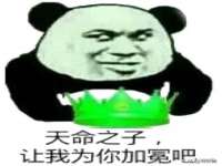 合肥市包河区东木临电子商务工作室