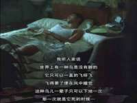 合肥市包河区东木临电子商务工作室