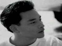 合肥市包河区东木临电子商务工作室