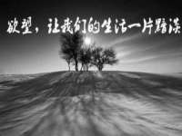 合肥市包河区东木临电子商务工作室
