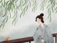 合肥市包河区东木临电子商务工作室