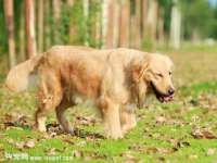 合肥市包河区东木临电子商务工作室